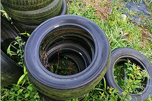 old-tyres-waste