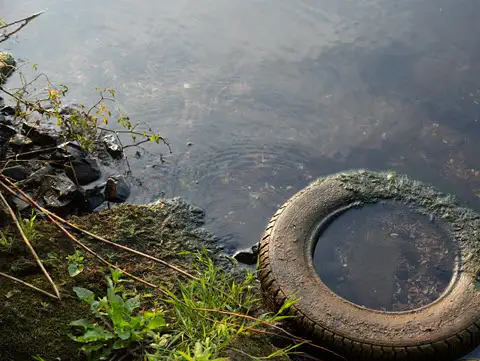 Tyre dumped in creek that recycling can prevent